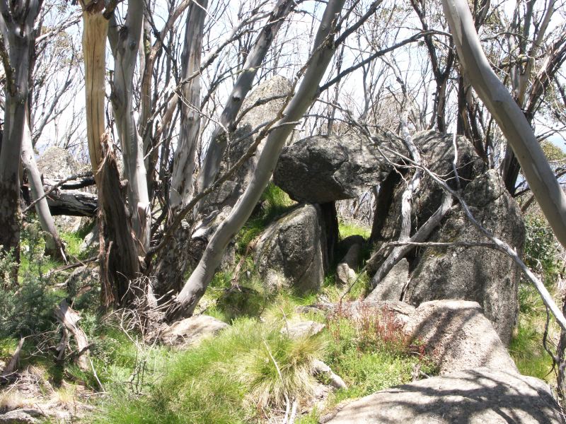 Kosciuszko national park