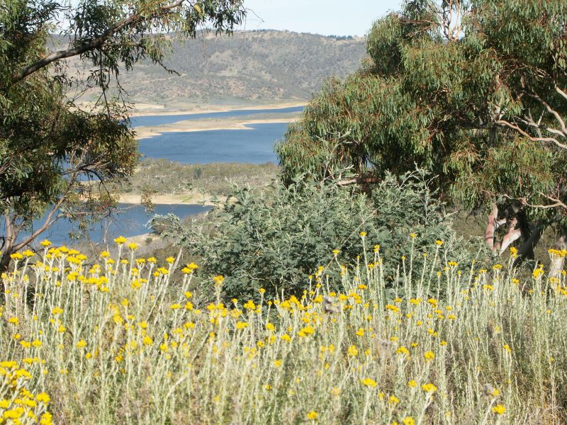Kosciuszko national park