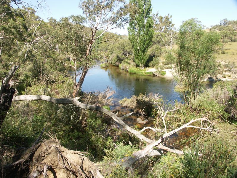 Kosciuszko national park