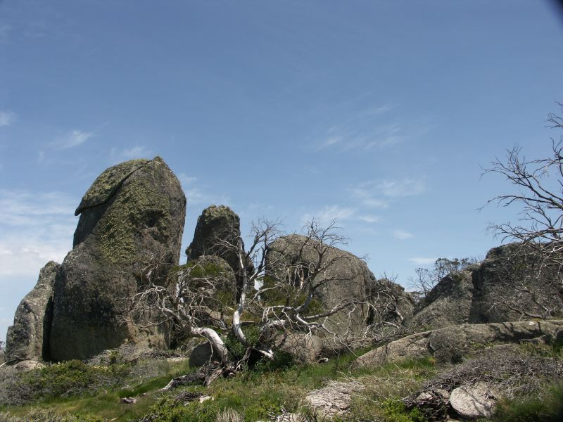 Kosciuszko national park