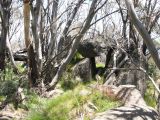Kosciuszko national park