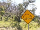 Kosciuszko national park