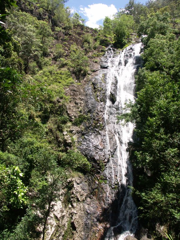 Mapleton