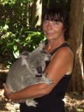 Koalas Lone Pine Park