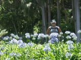 Brisbane botanic garden