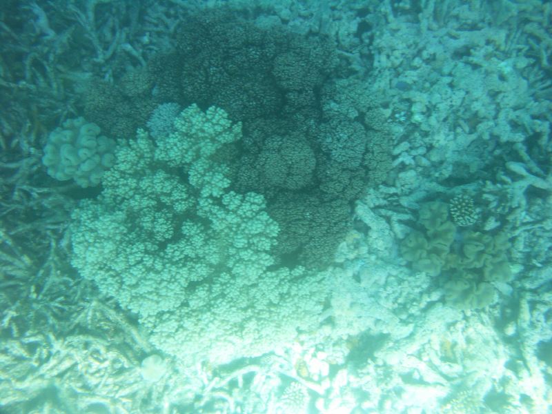 Cairns Grande Barriere de Corail