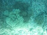 Cairns Grande Barriere de Corail