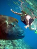 Cairns Grande Barriere de Corail