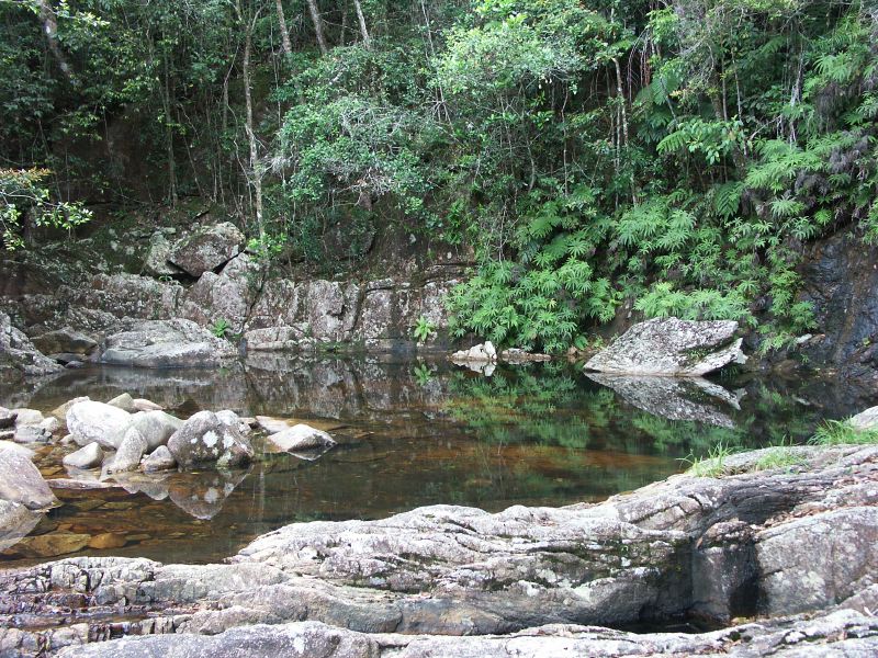 Paluma