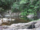 Paluma