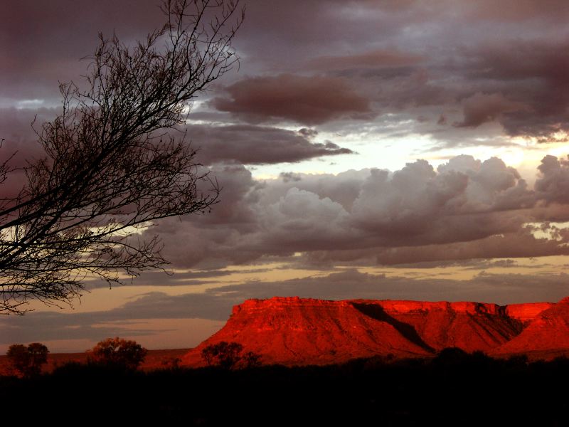 Kings canyon