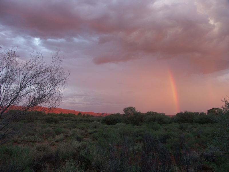 Kings canyon