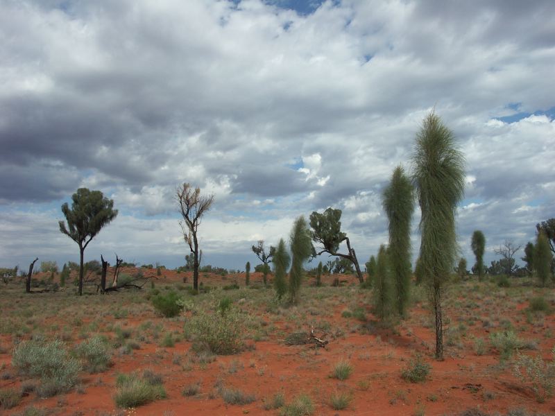 Ayers Rock