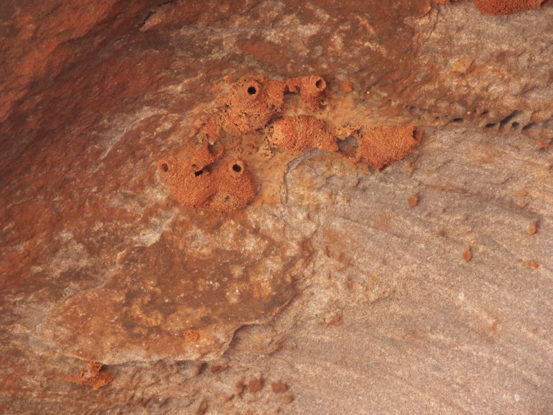 Ayers rock