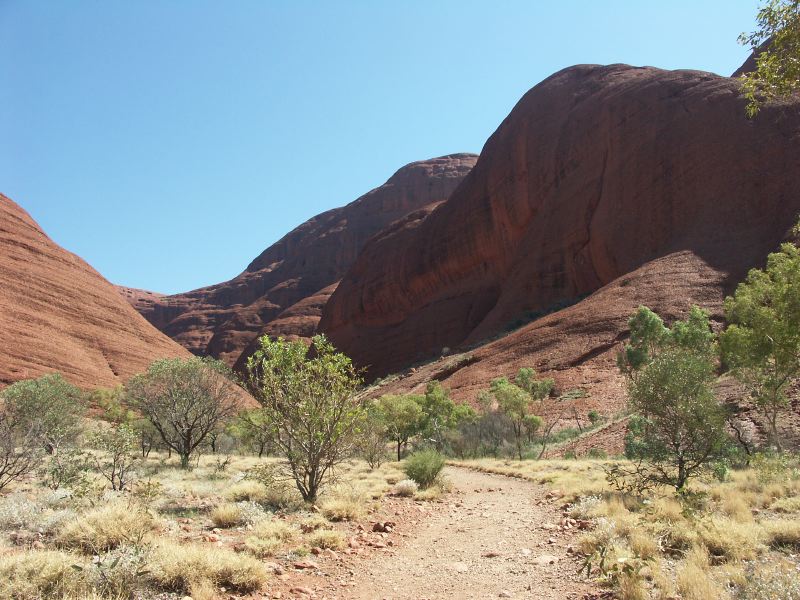 Olgas