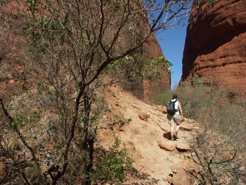 Olgas