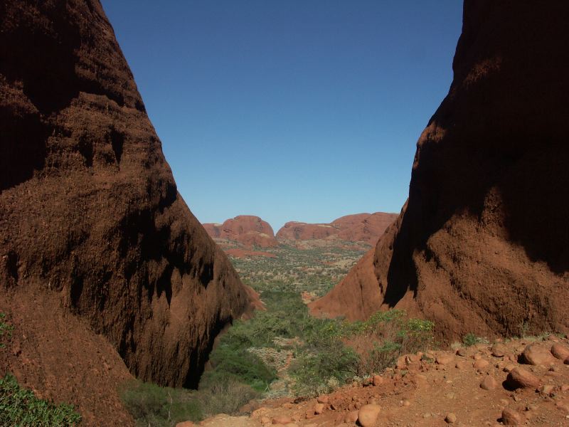 Olgas