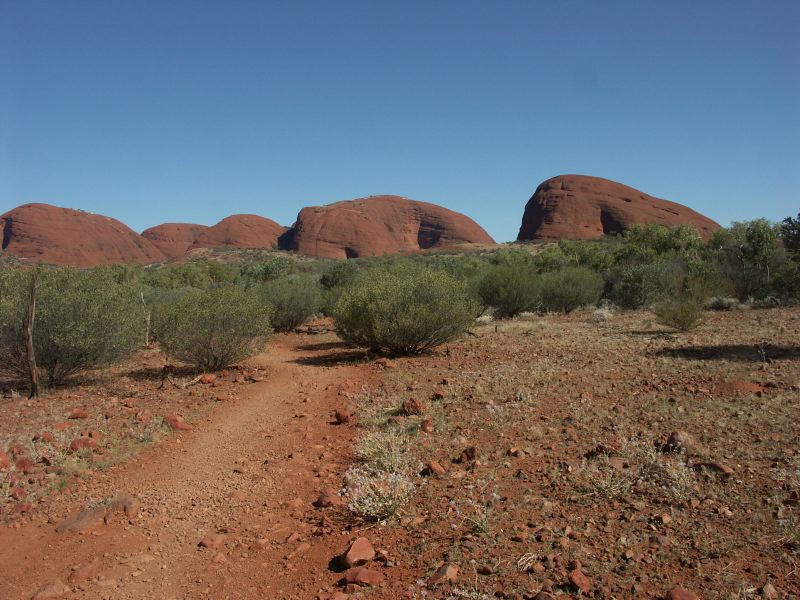 Olgas