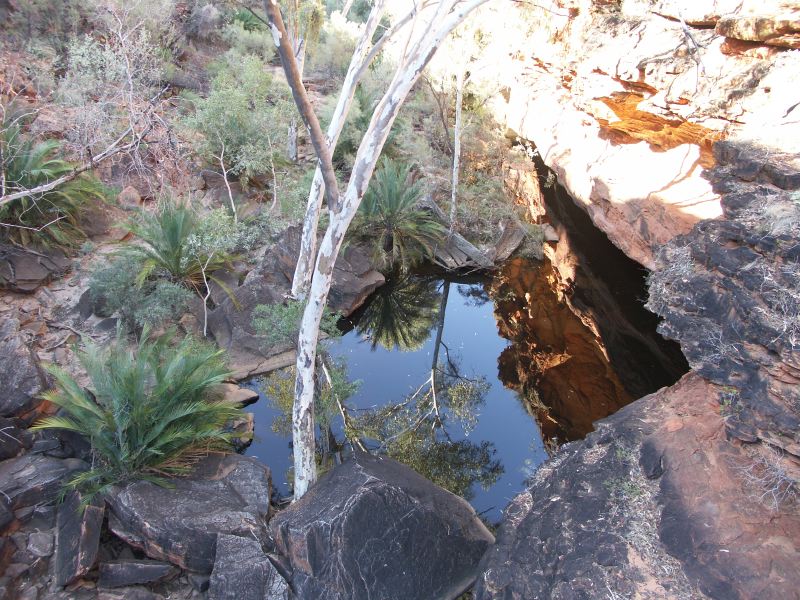 Kings canyon