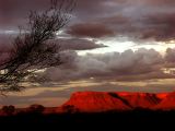 Kings canyon
