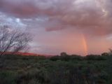 Kings canyon