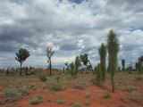 Ayers Rock