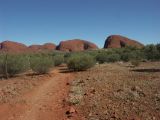 Olgas