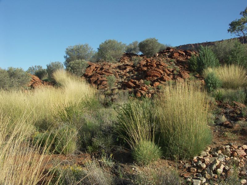 Park desert sand