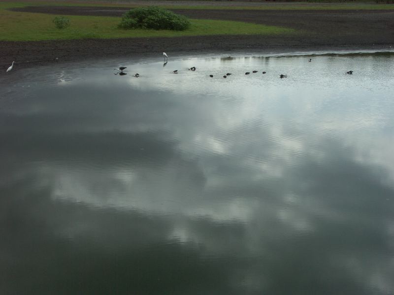 Wildlife Park - 4