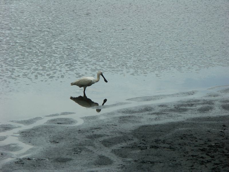 Wildlife Park - 21