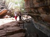 Kakadu - 2
