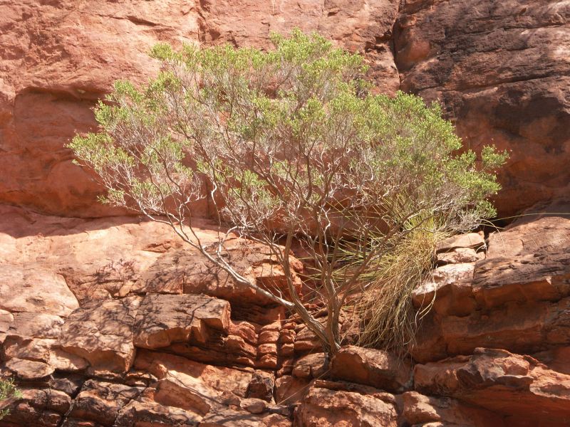 Hidden valley