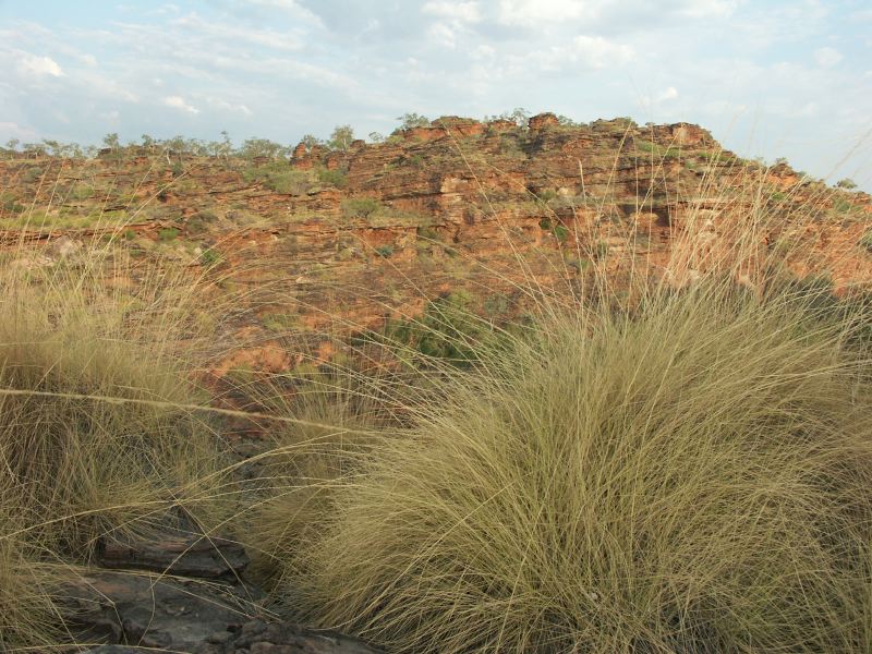 Hidden valley