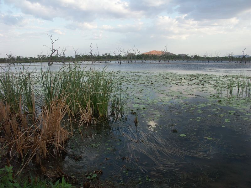 Lac de Kununurra