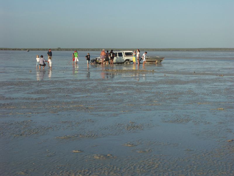 Voiture enlisee
