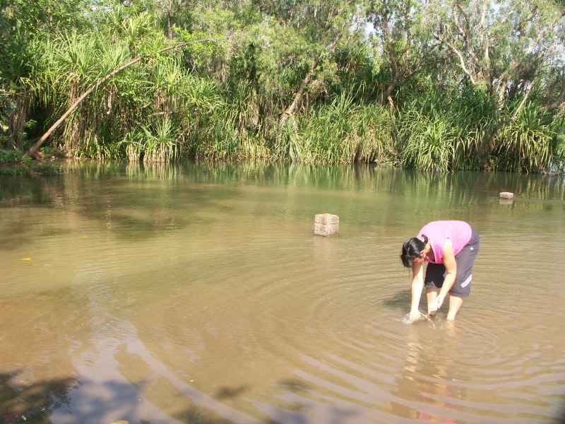 Yvanhoe crossing