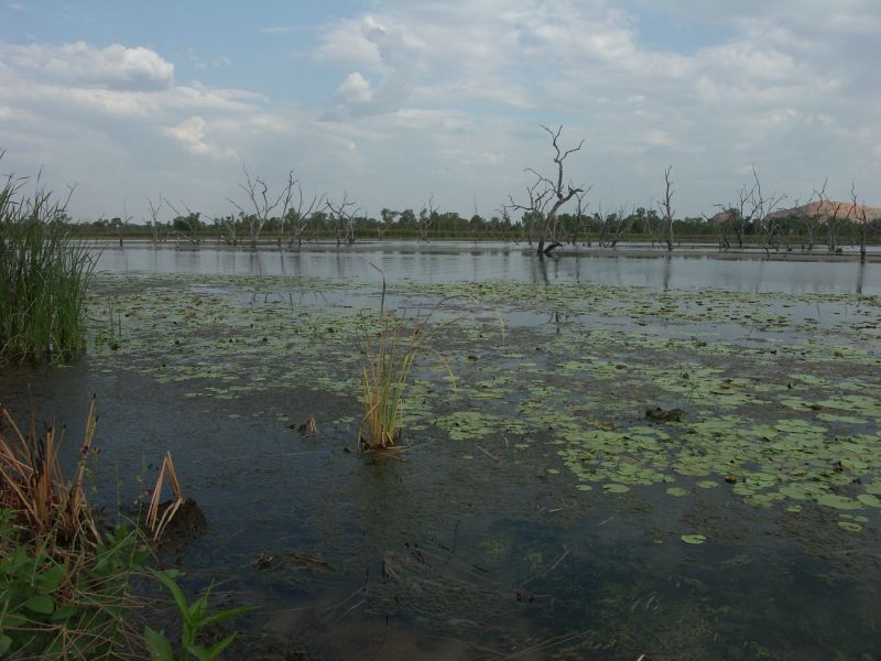 Lac de Kununurra