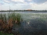 Lac de Kununurra