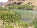 Lac Argyle
