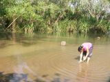 Yvanhoe crossing
