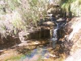 Kalamina Falls 