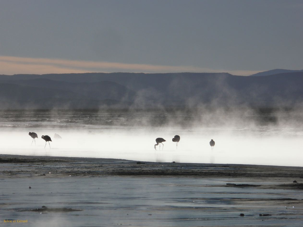 Bolivie Salar d'Uyuni les thermes Agua Calientes  100