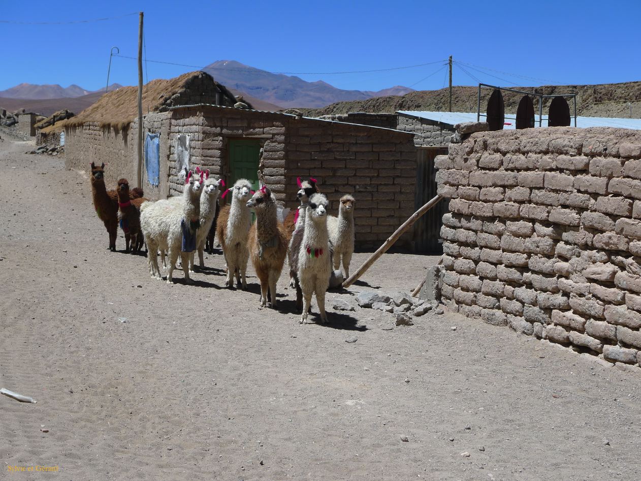 Bolivie Salar d'Uyuni Quetena Chico le Lipez  102