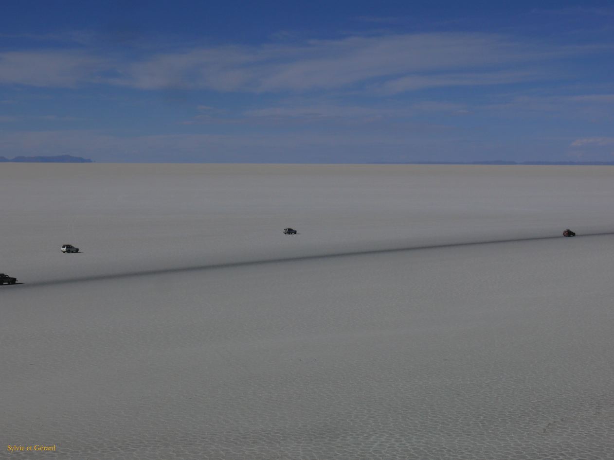 Bolivie Salar d'Uyuni Isla Incahuasi ou Isla des Pescado  107