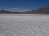 Bolivie Salar d'Uyuni la Laguna Honda  100
