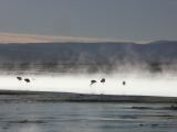 Bolivie Salar d'Uyuni les thermes Agua Calientes  100