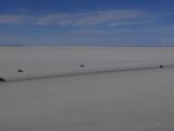 Bolivie Salar d'Uyuni Isla Incahuasi ou Isla des Pescado  107
