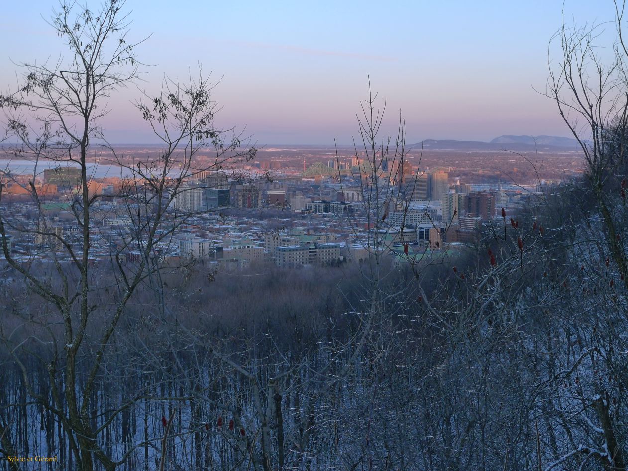 Montreal 023 Vue du Mont Royal