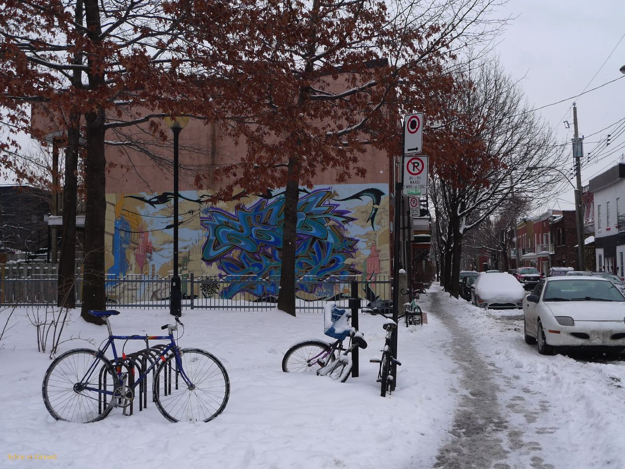 Montreal 040 Plateau du Mont-Royal
