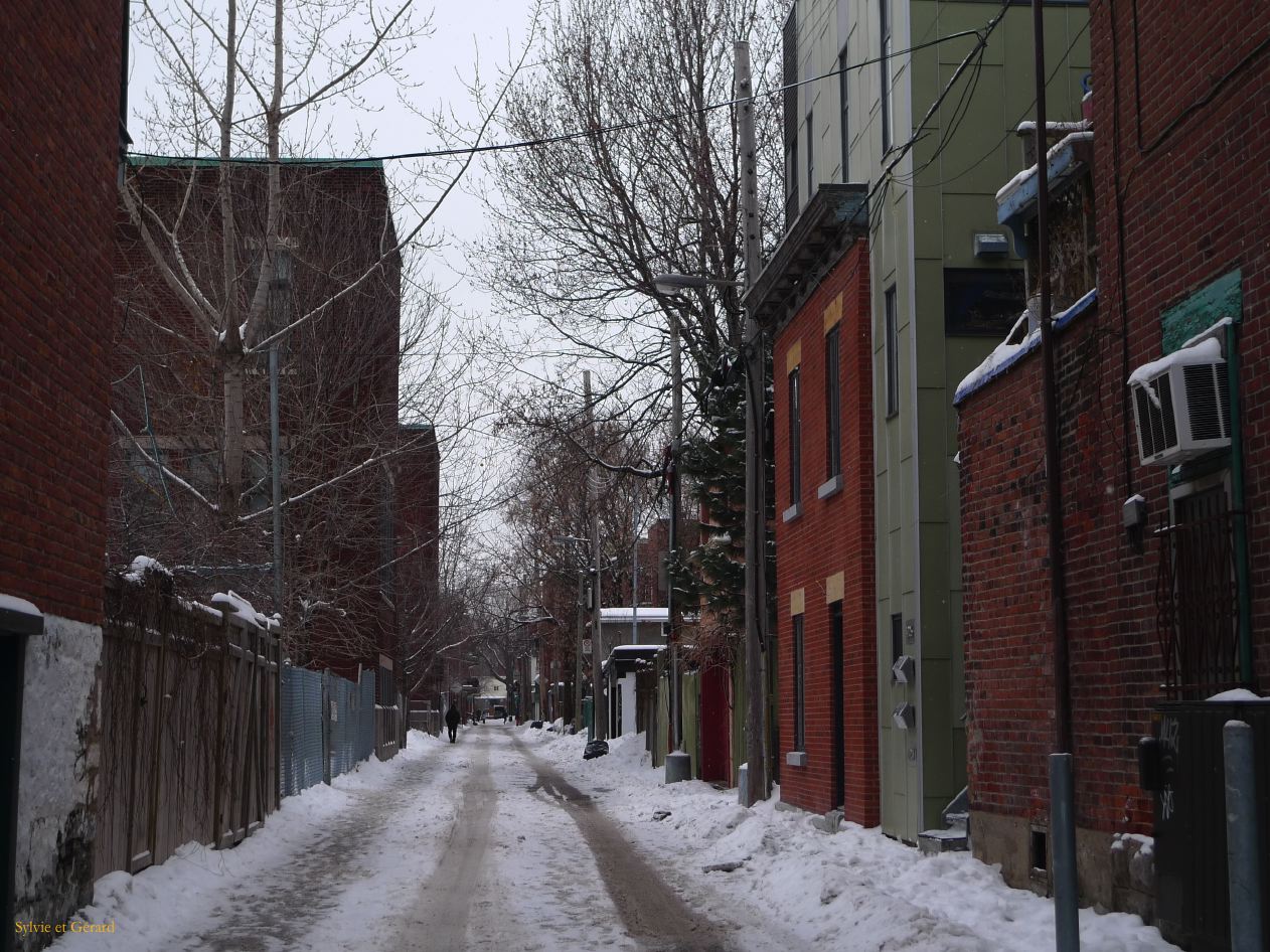 Montreal 048 Plateau Mont Royal